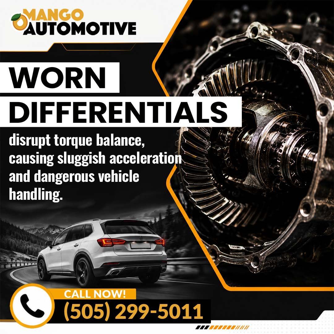 worn differentials- Mango Automotive (The Heights)