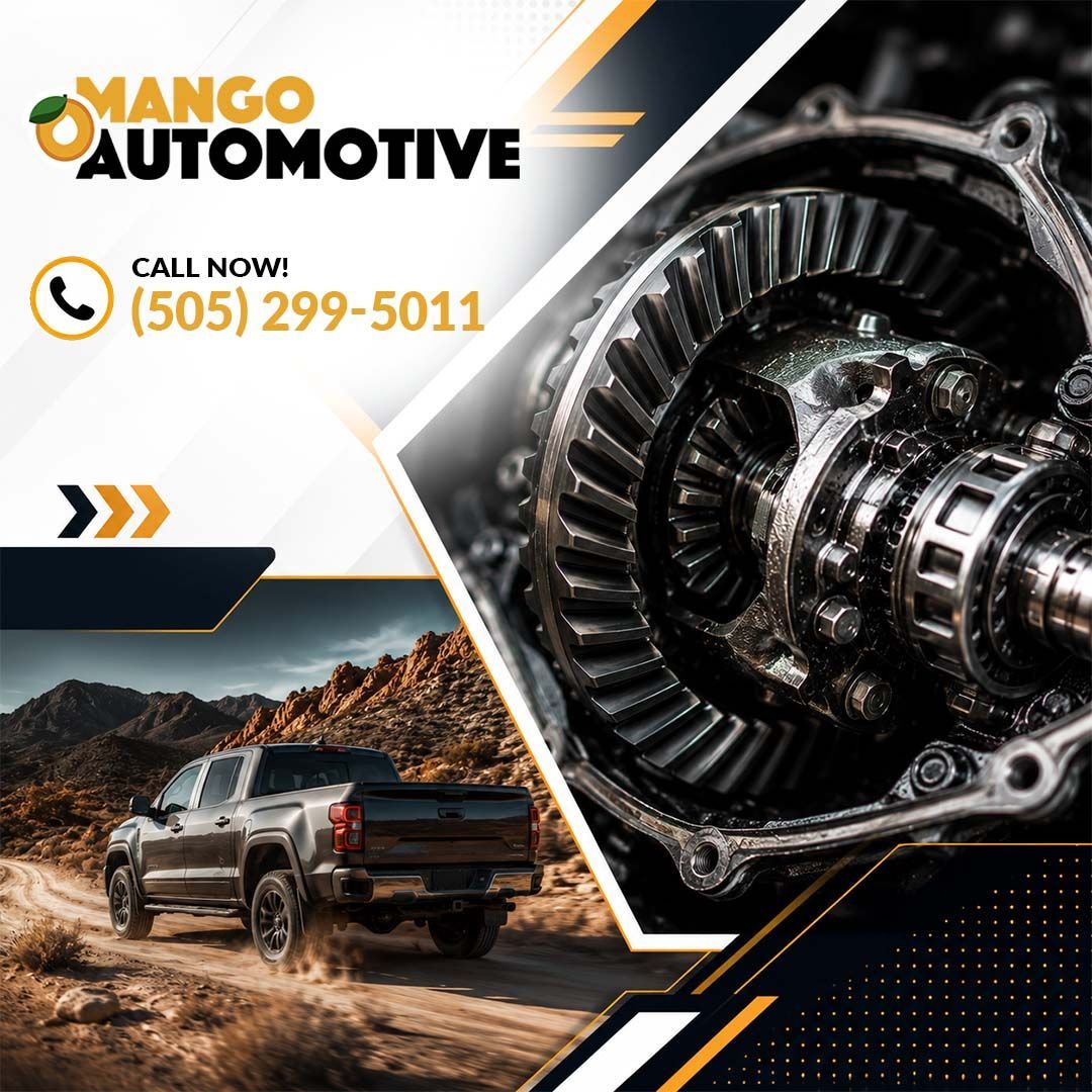 differential problems- Mango Automotive (The Heights)