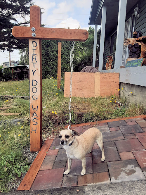 dirty dog wash