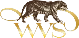 WVS Law Firm - WVS Lawyer, PLLC