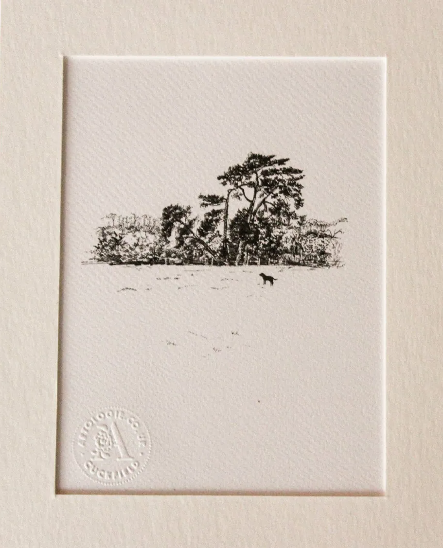 Black and white fine line drawing print of a group of trees in cuckfield and small black larador Cuckfield from original pen drawing by Wendy Rowark