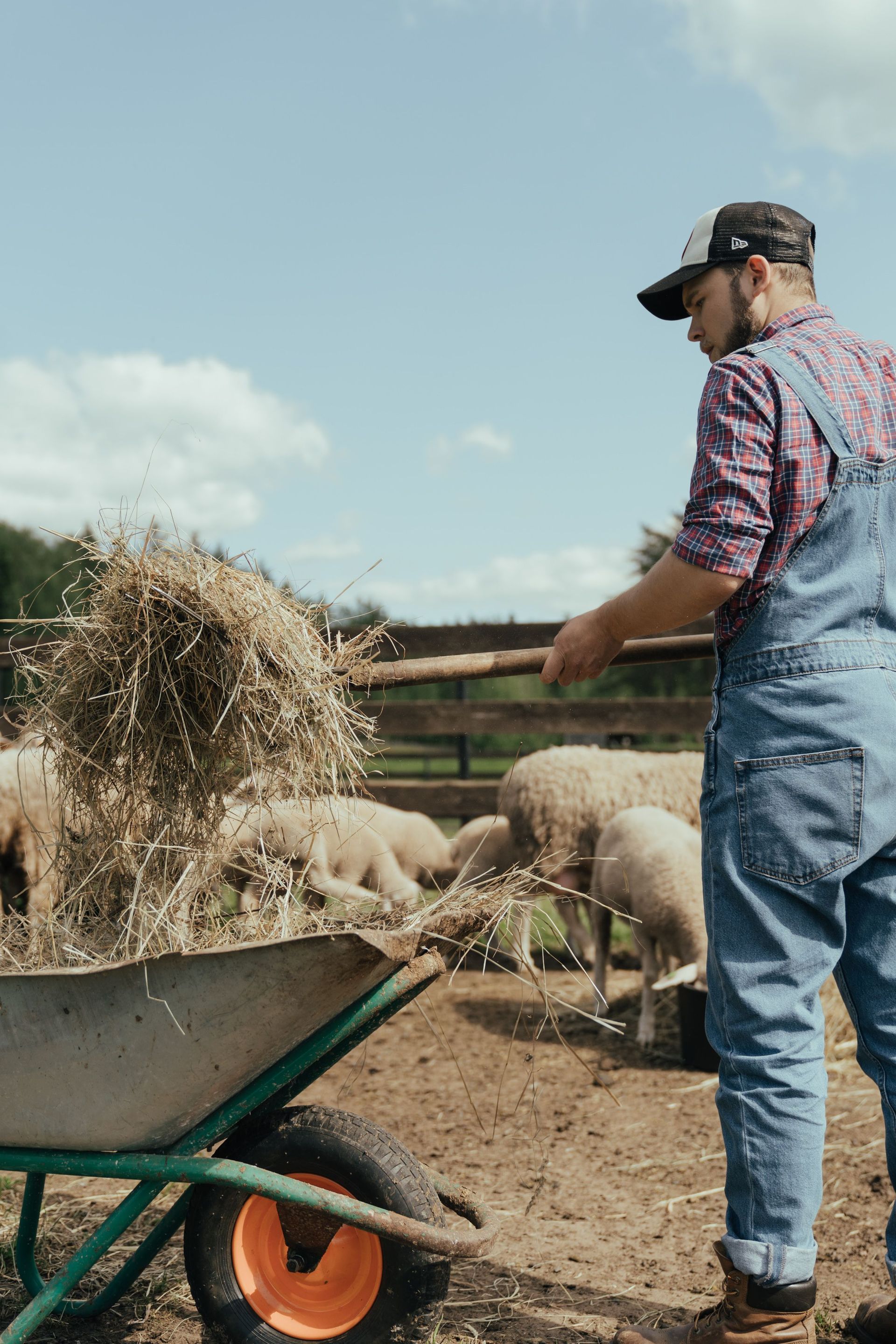 Hiring help on the farm is getting easier
