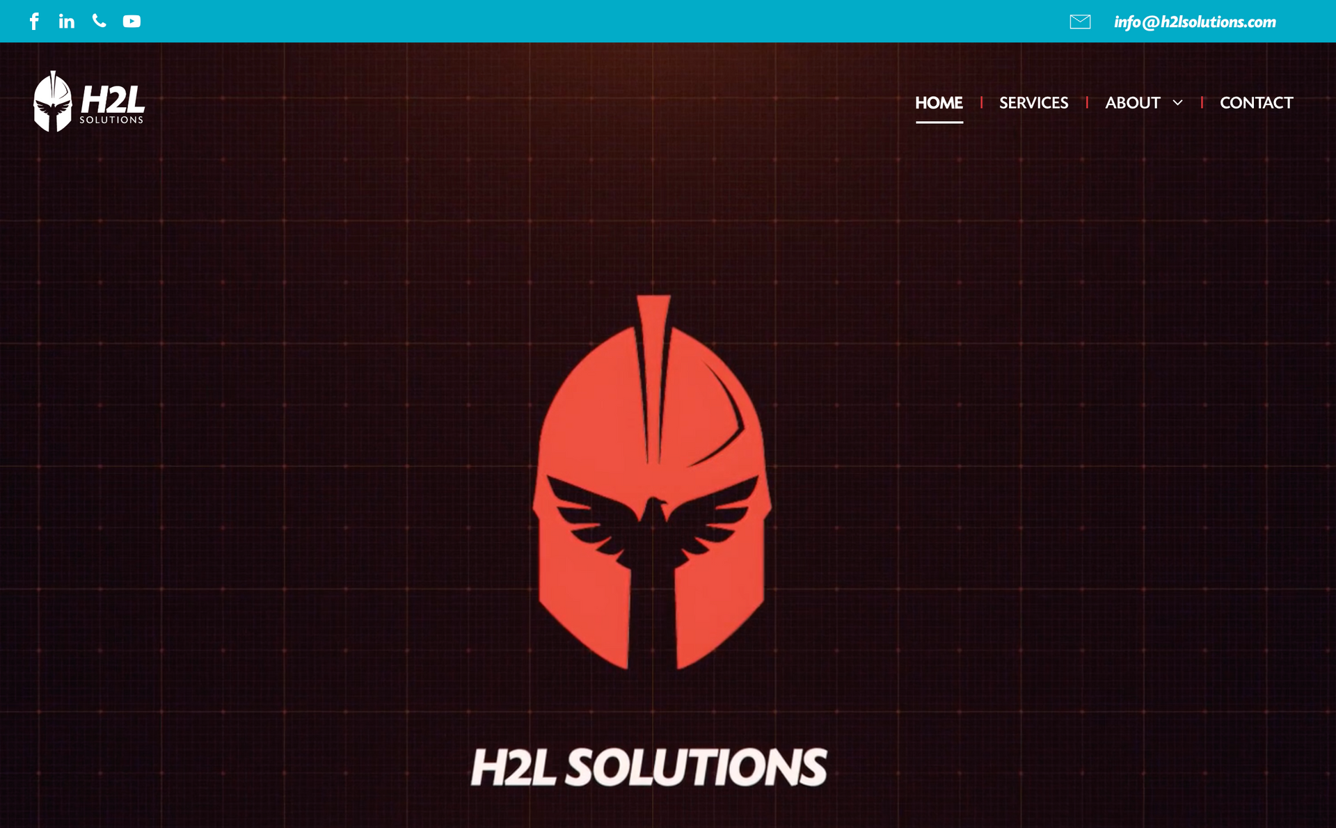 H2L Solutions, Inc. | Cyber Security Services