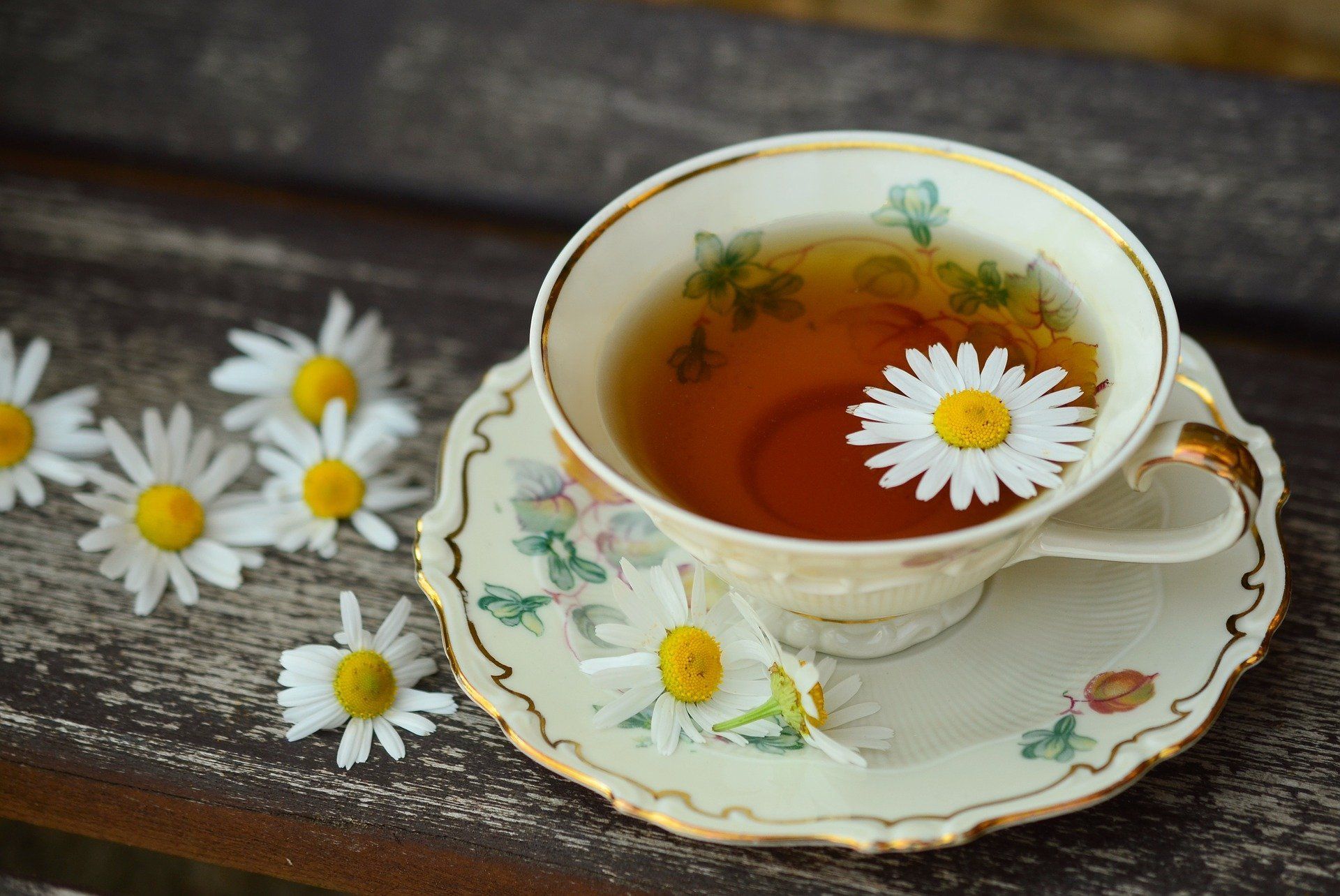 Tee, Getränk, gesund, Gänseblümchen