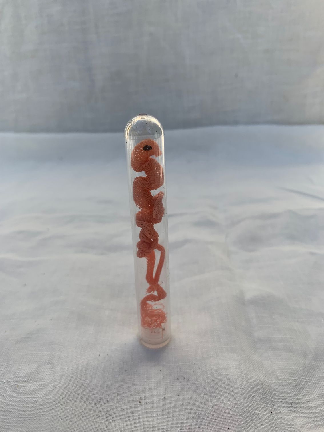 schelp, plastic, nylon