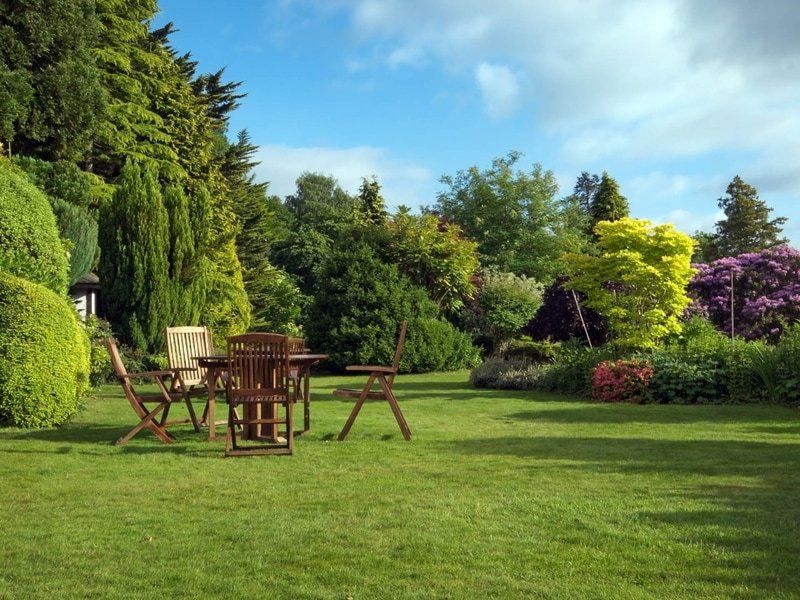 section-image