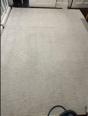 Light gray carpeted floor in a room, with a doorway visible at the top and a cable at the bottom.