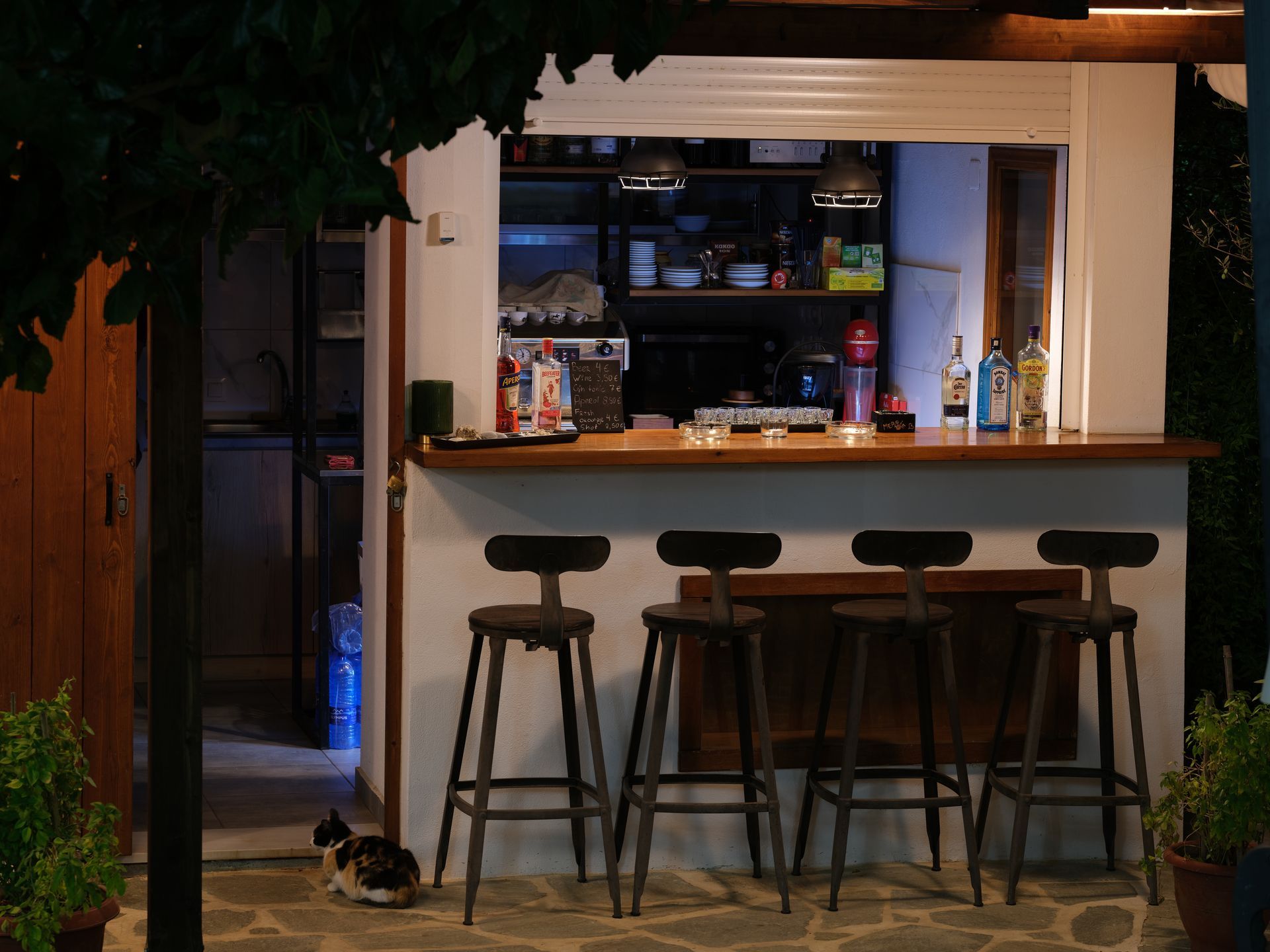 A cat sits in front of a bar with stools