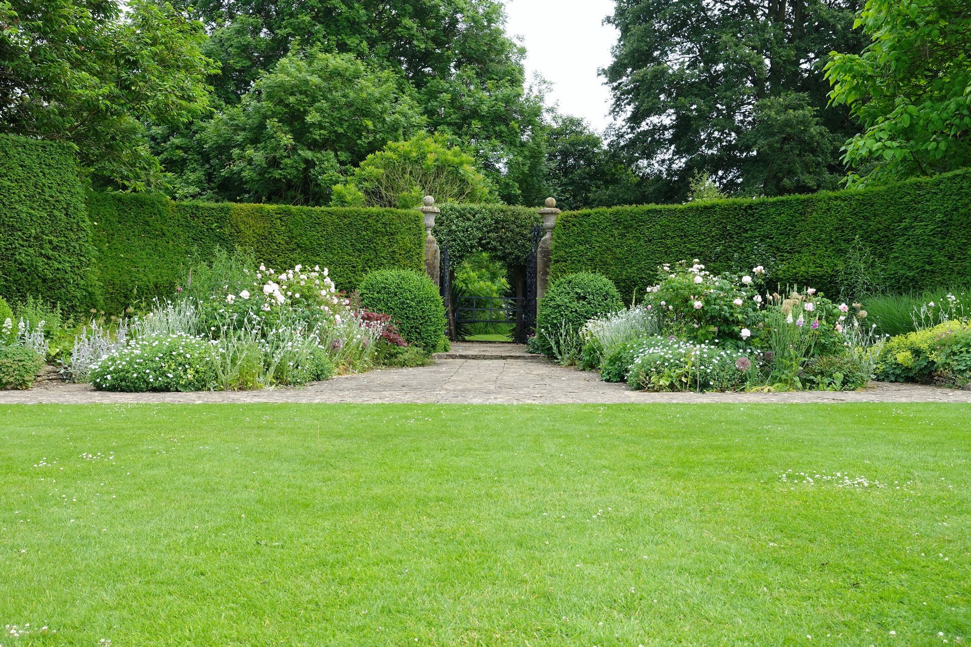 Grass Lawn and Leafy Trees — Lacey Township, NJ — Forever Green Lawn & Landscaping