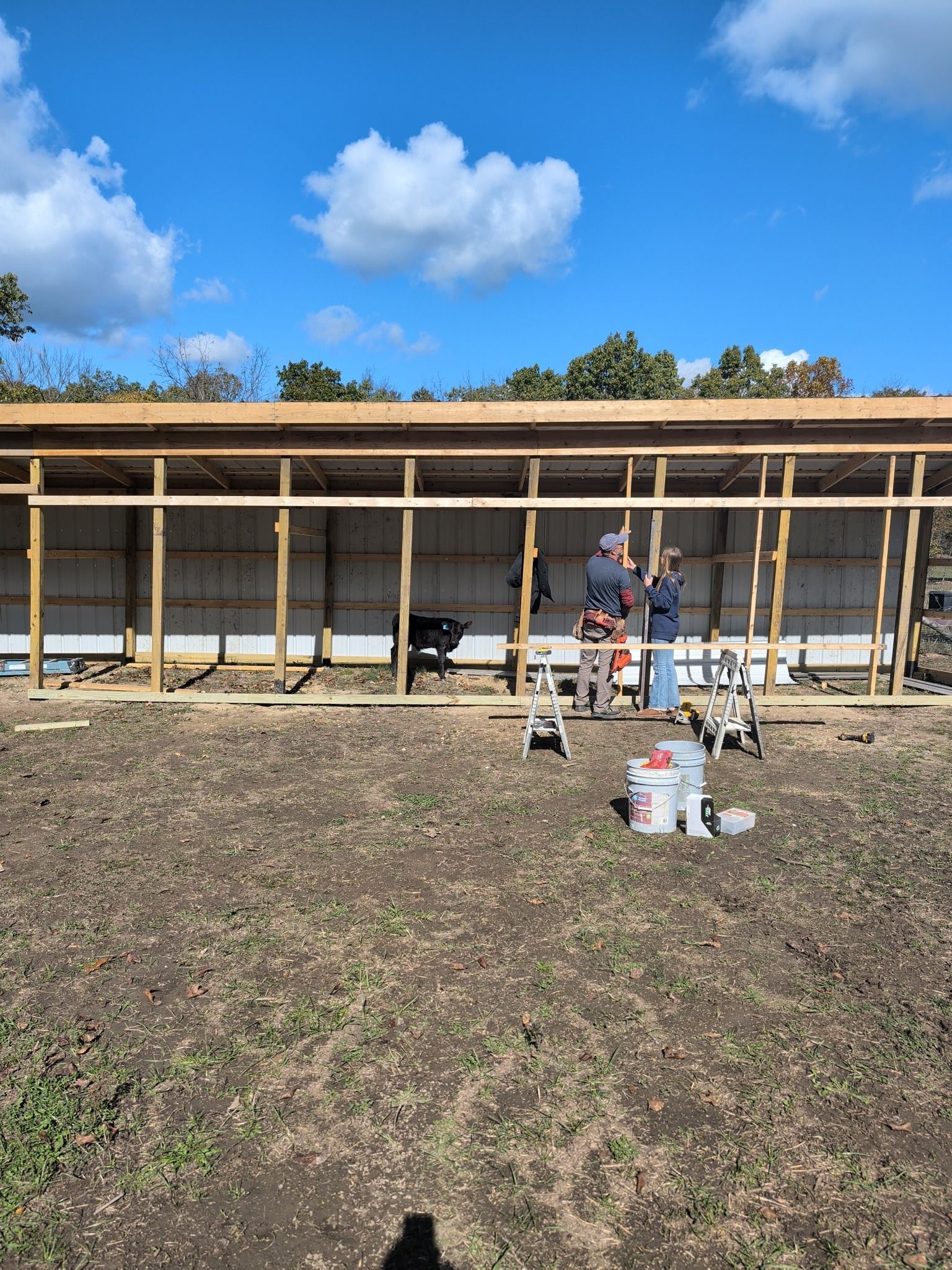 Construction of a long shed with two people working inside. Blue sky and grass.