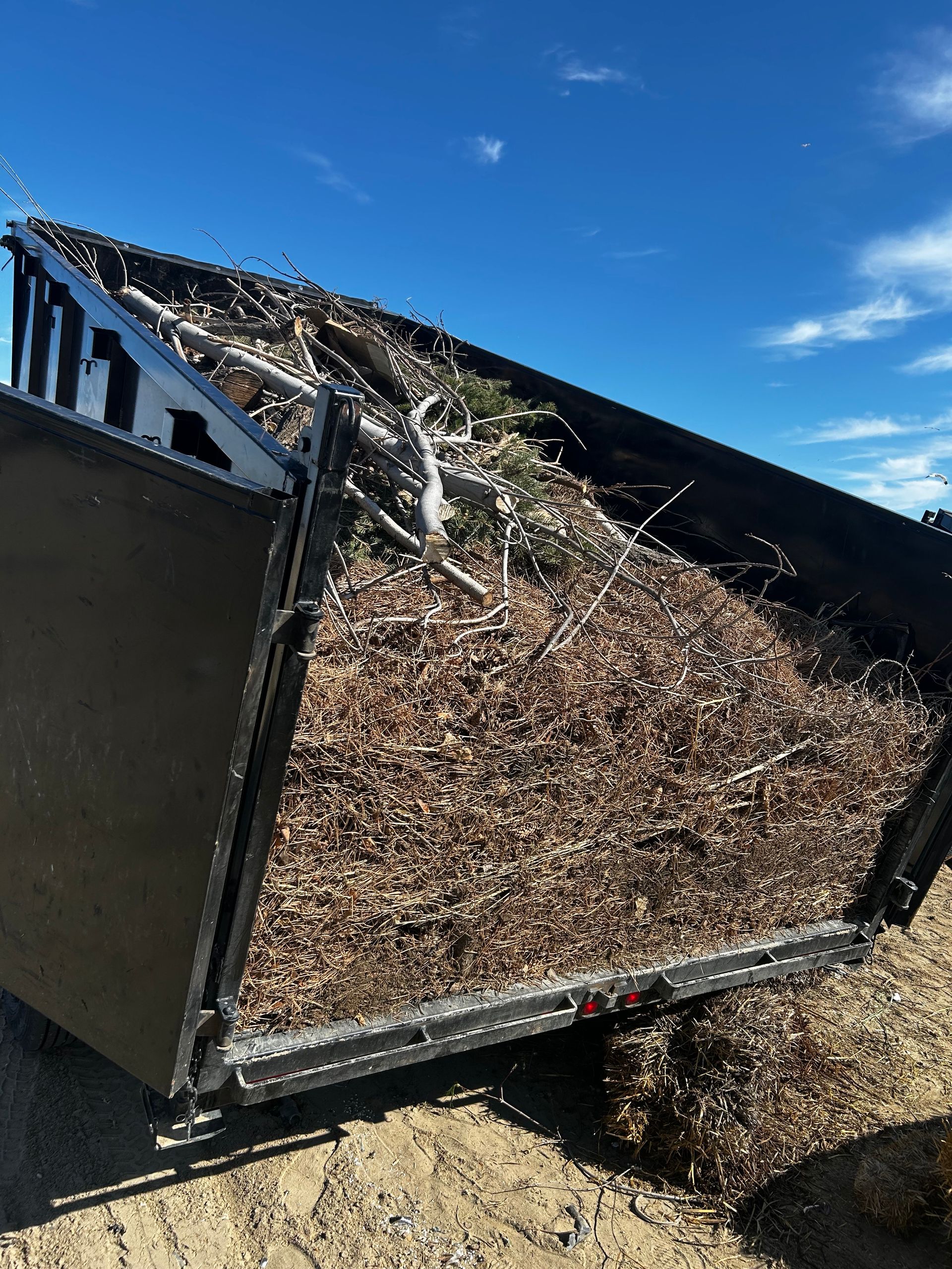 A dumpster filled with wood chips is sitting on top of a dirt field.