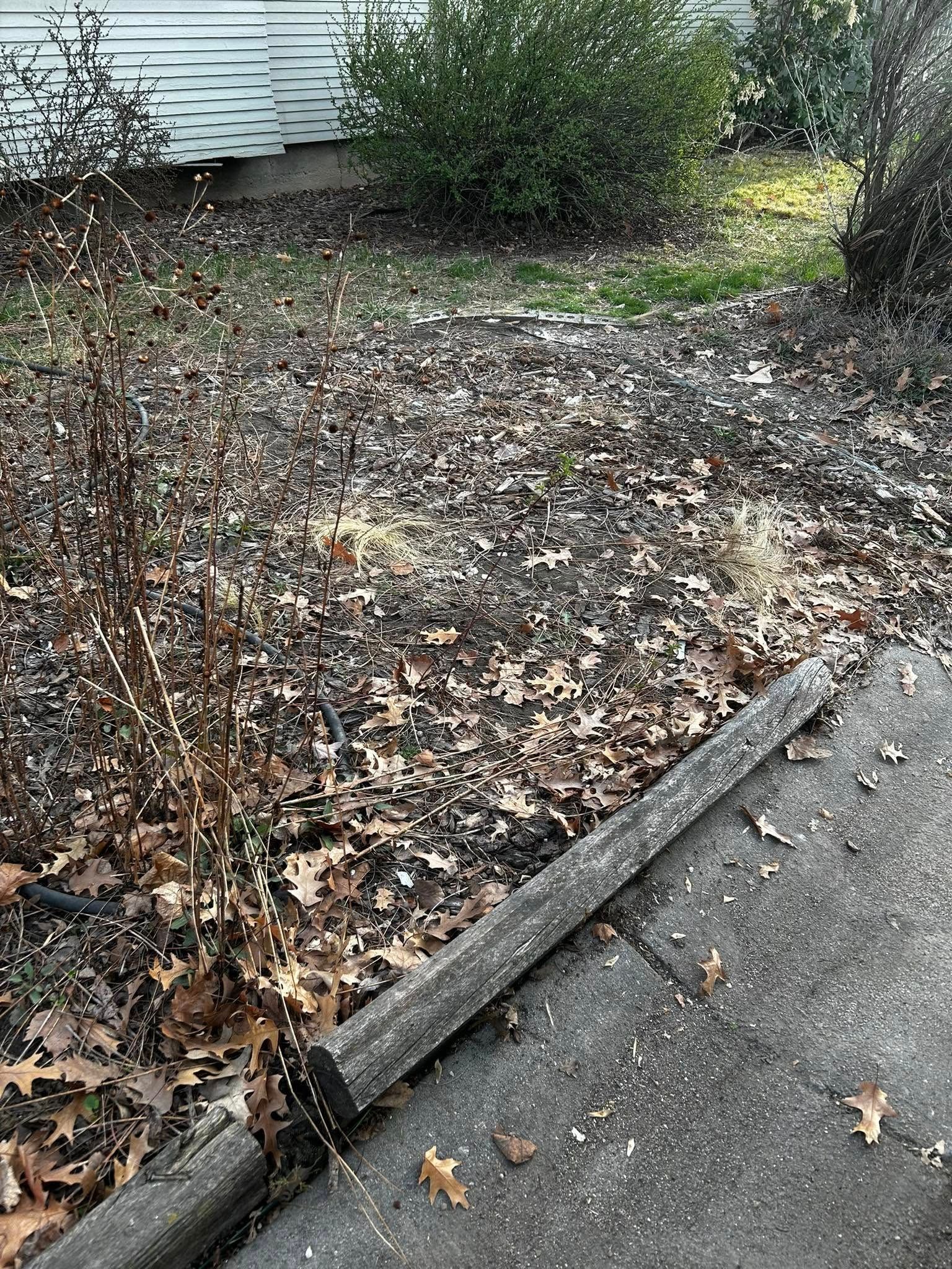 There are a lot of leaves on the ground in the backyard.