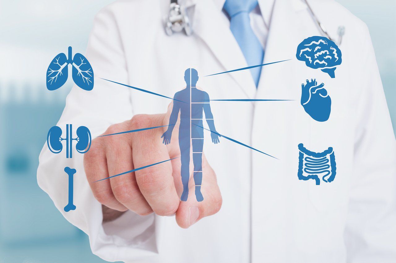 A doctor is pointing at a diagram of the human body.