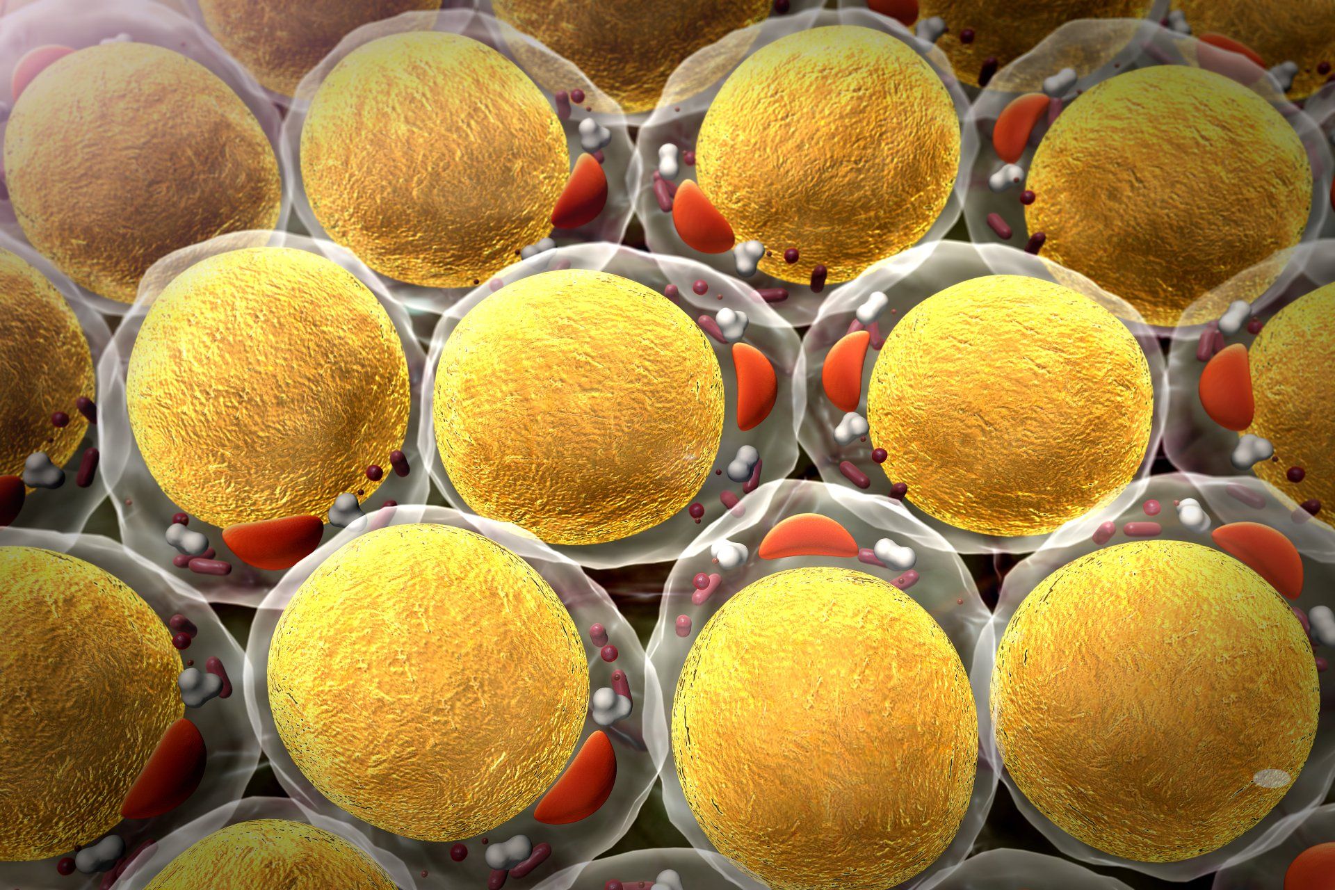 A computer generated image of a bunch of cells