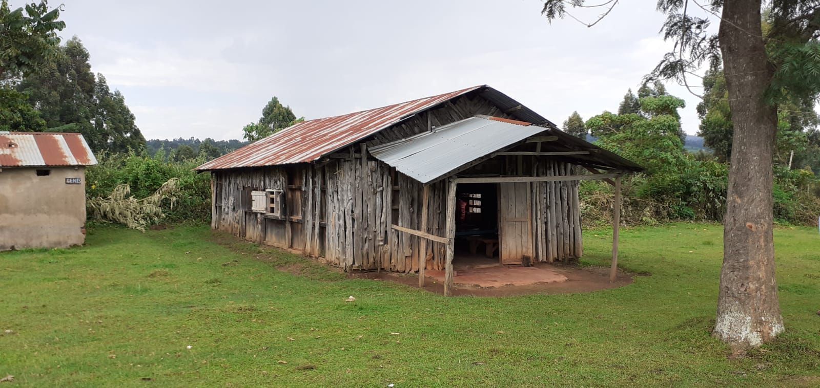 A small wooden house with a tin roof is sitting in the middle of a grassy field.