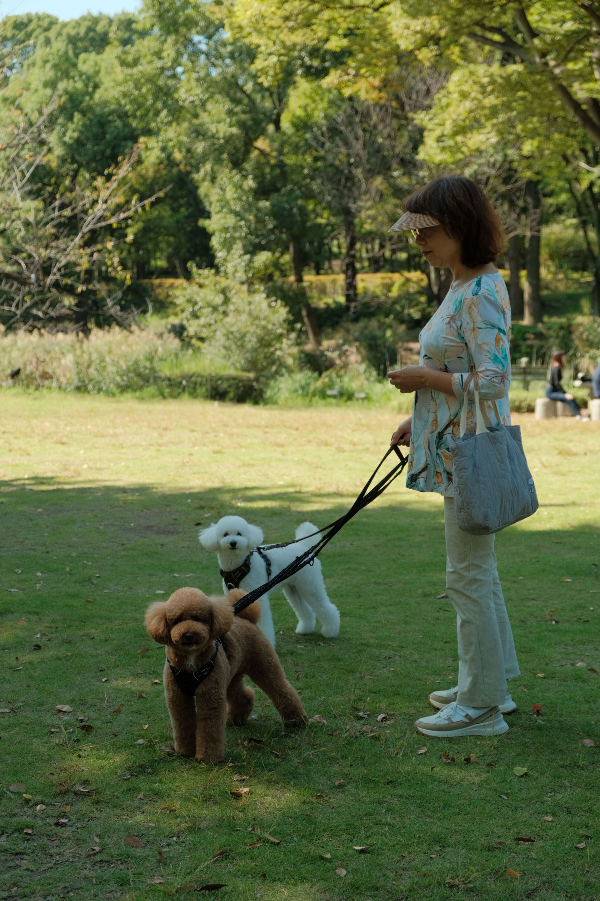 Woman standing in a park holding two small dogs on leashes, one brown and one white.
