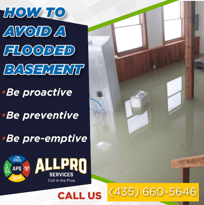 Flooded Basement