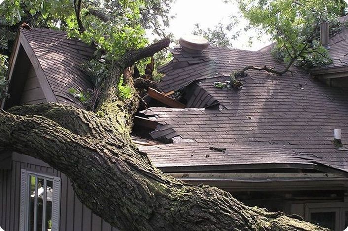 Tree fallen through a home's roof after a storm