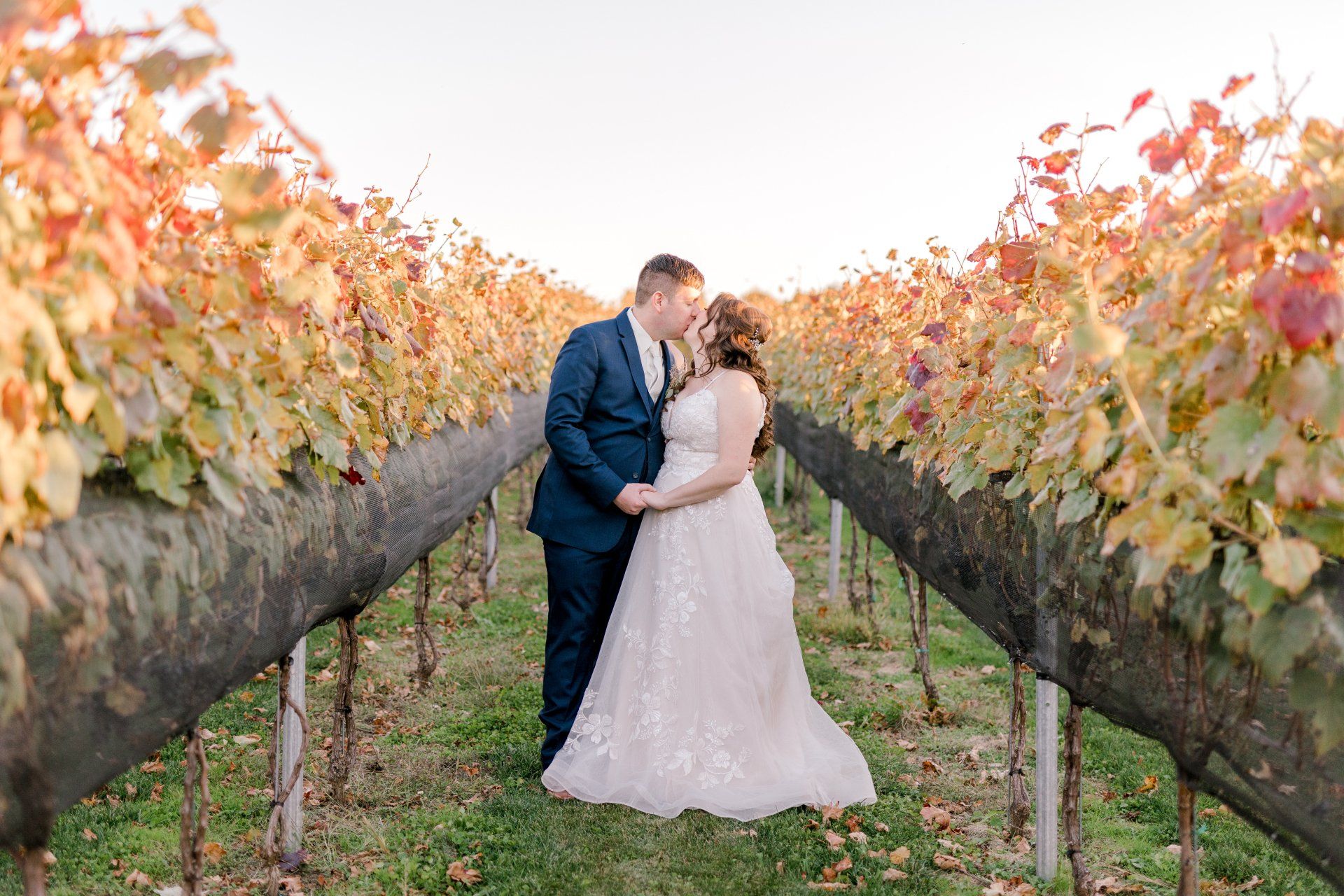 A bride and groom are kissing in a vineyard.