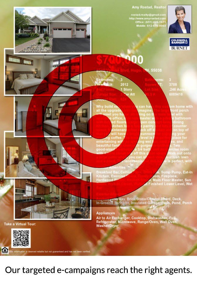 e-Campaigns