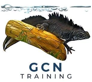 GCN Training
