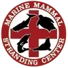 Marine Mammal Stranding Center logo with a red cross, silhouettes of marine animals.