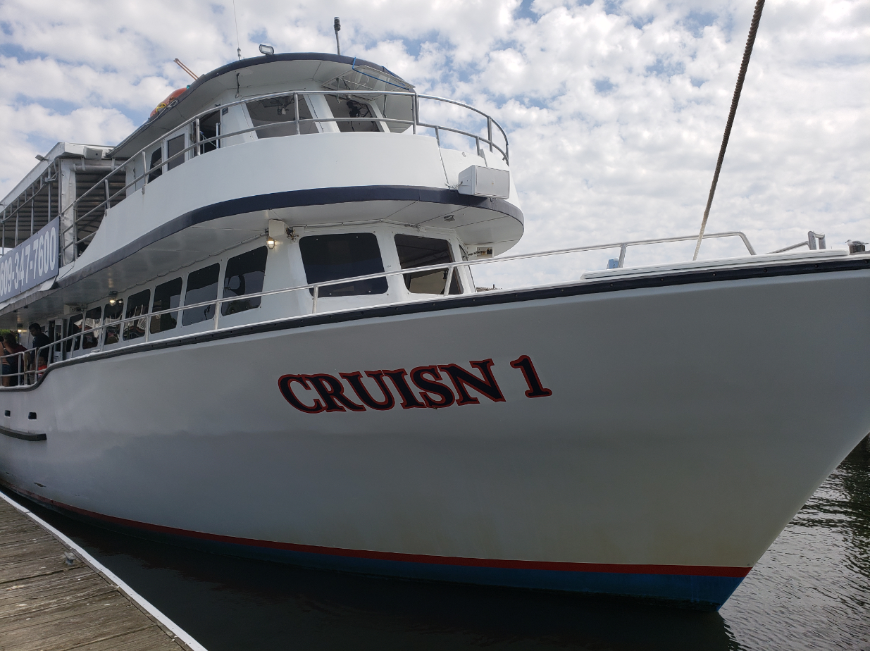 White cruise ship 