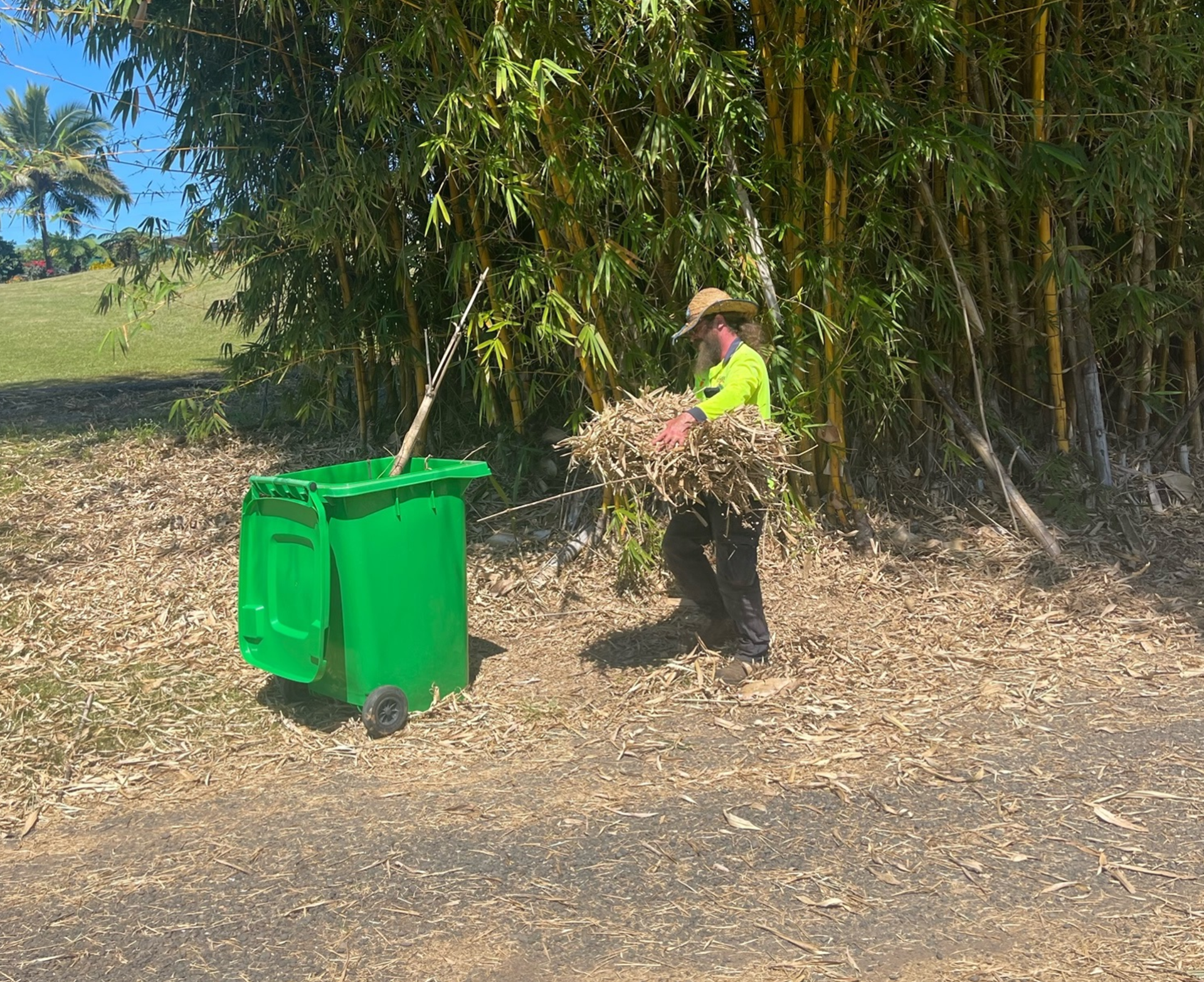 Person wearing hat, loading dried leaves into a green bin next to a bamboo grove, on a sunny day.— Greenaway Green Waste Removal in O'Briens Hill, QLD