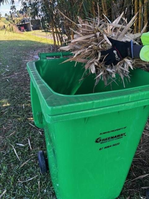 A person in black gloves throws dead plant matter into a green garbage bin outdoors. — Greenaway Green Waste Removal in Tully, QLD