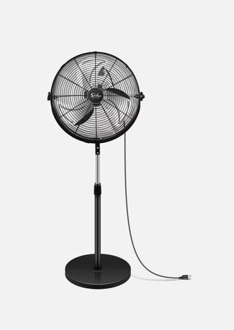 Fans