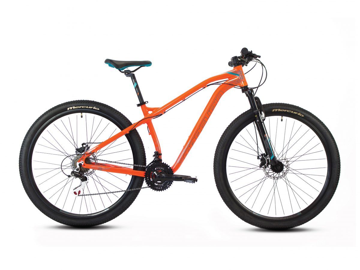 BICICLETA RANGER PRO ROD.29