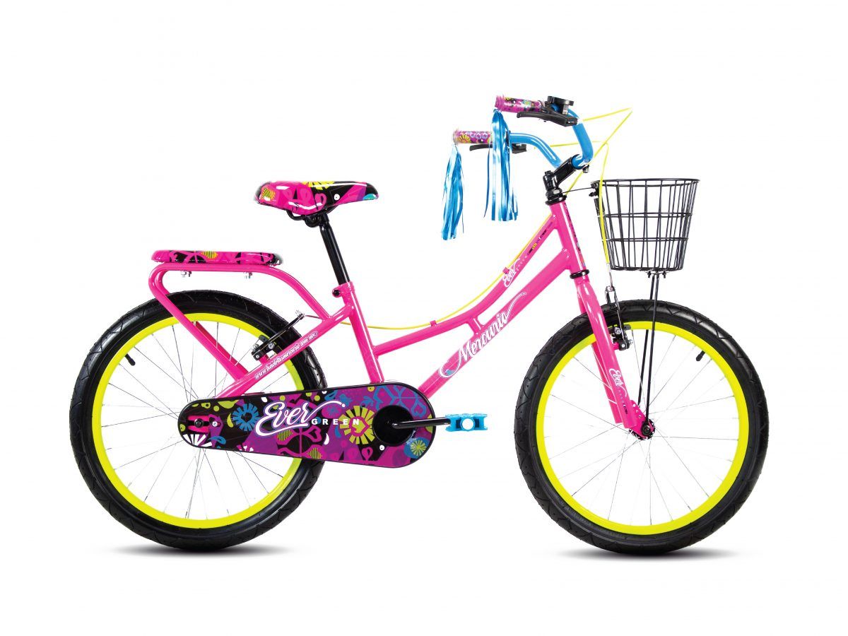 Bicicleta R.20 Mercurio Evergreen rosa