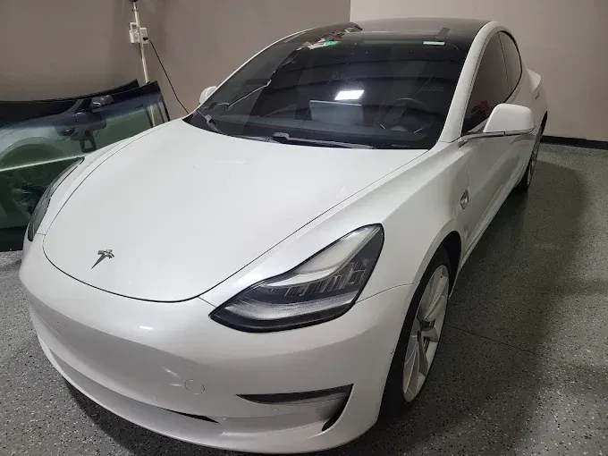 Tesla auto glass replacement near Tarpon Springs, FL