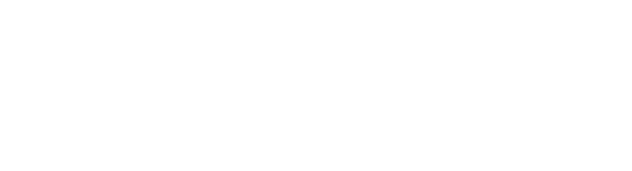 Global Security Inc.