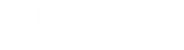 Global Security Inc.