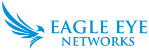 Blue logo with a stylized eagle and the words
