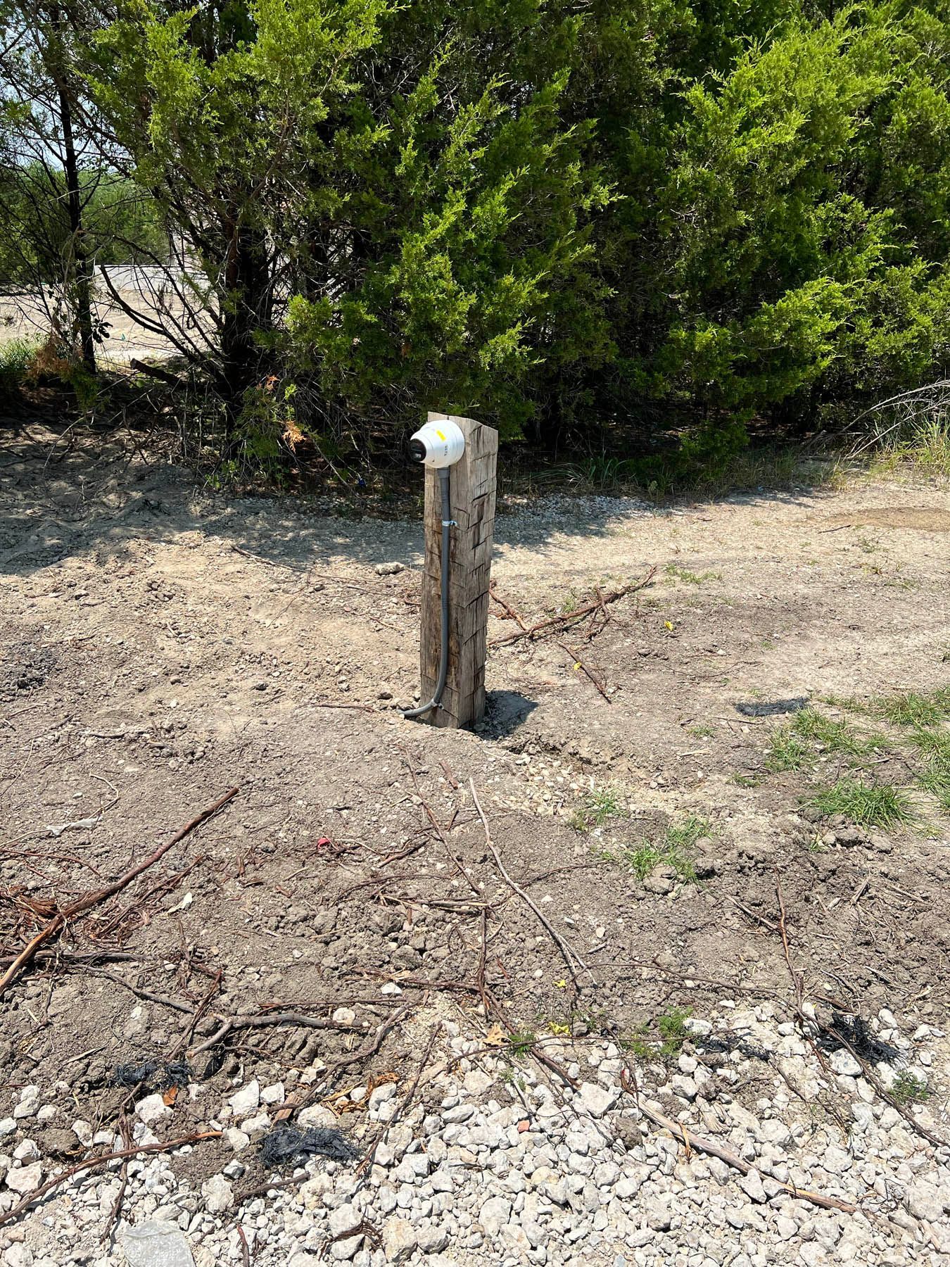 Wooden post with white object attached, on dirt road with green trees in background.
