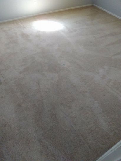 Empty carpeted room with light gray walls and bright sunlight on the floor