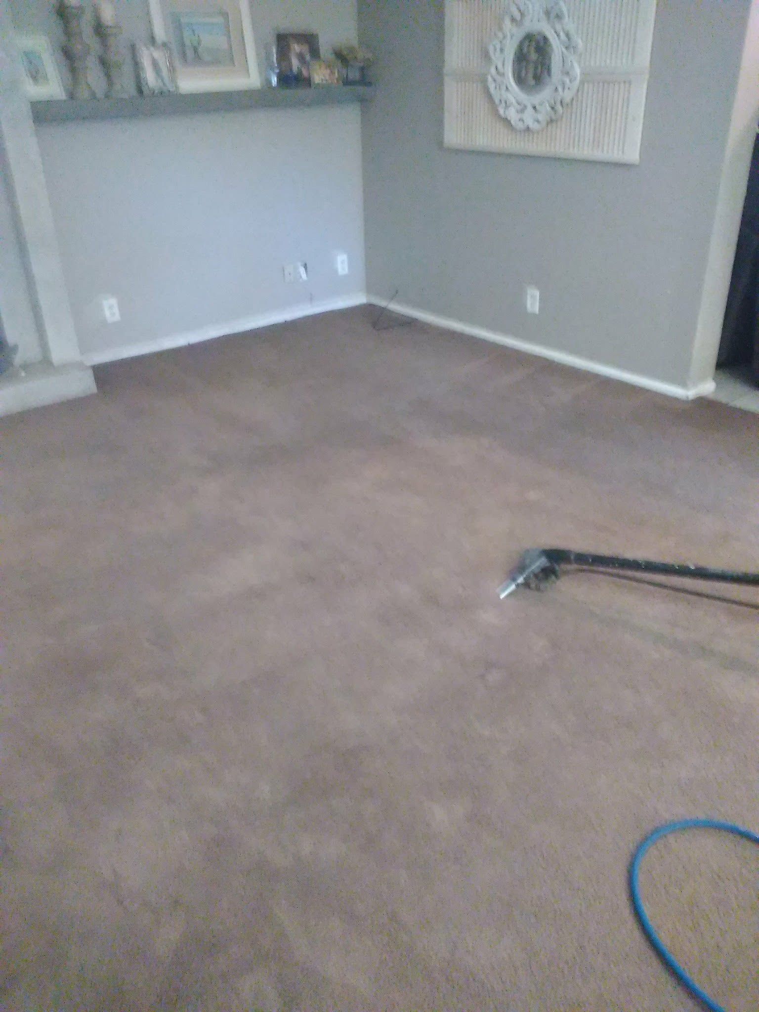 Empty beige-carpeted living room with gray walls and a vacuum hose on the floor