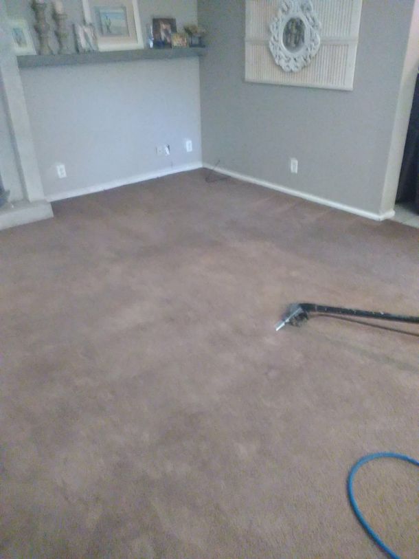Empty beige-carpeted living room with gray walls and a vacuum hose on the floor