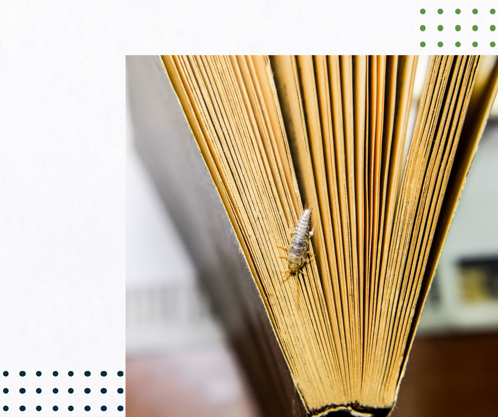 a close up of an open book with a screw sticking out of it