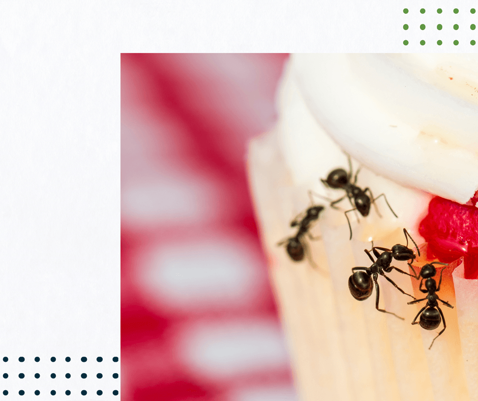 ants are crawling on a cupcake with strawberries and whipped cream