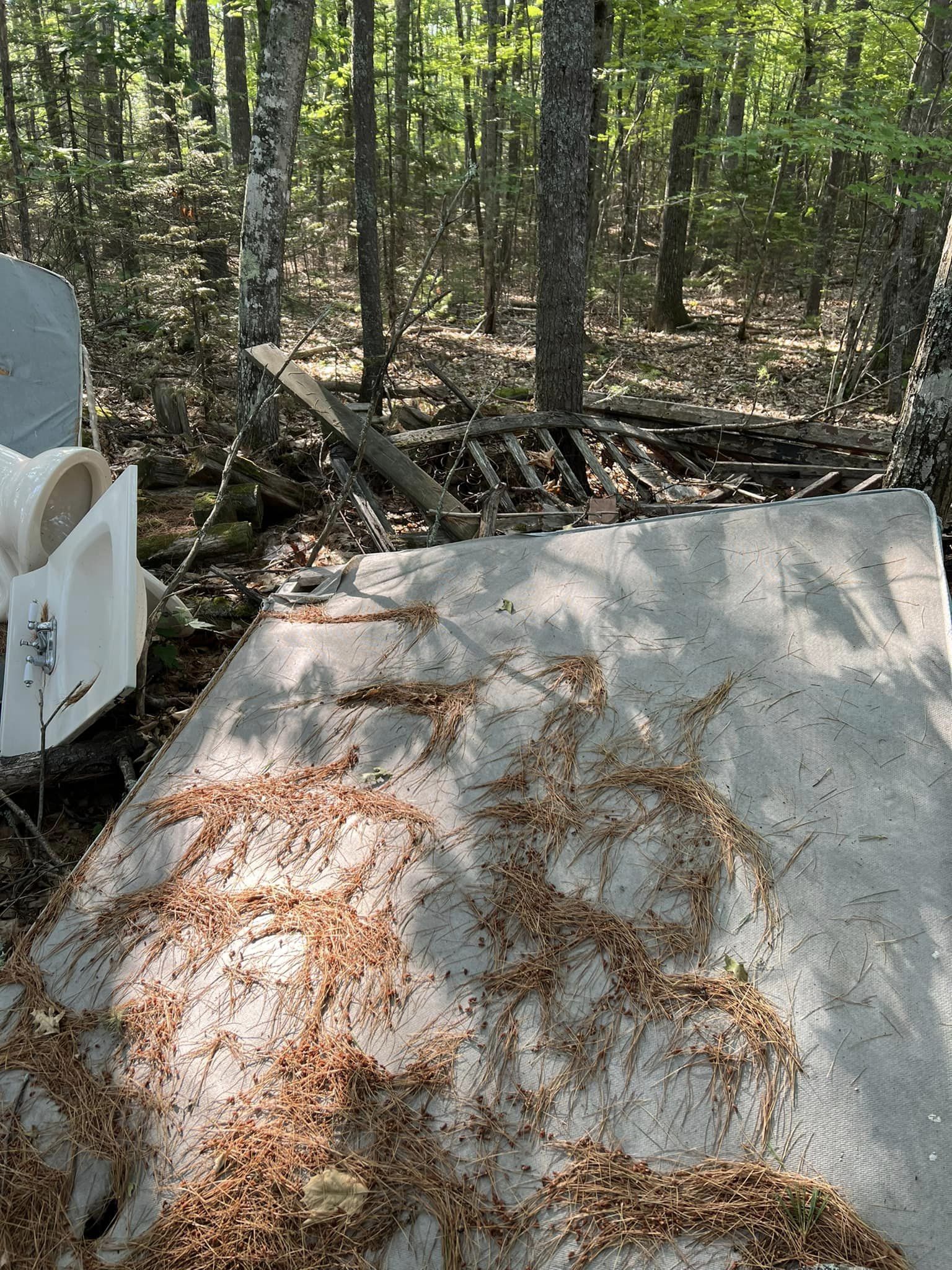 Yard Waste Removal, Residential Junk Removal, Commercial Junk Removal, Home & Estate Cleanouts| Office Cleanouts, Commercial Cleanouts, Tenant Cleanouts, Trash Removal, Dumpster Area Cleanups