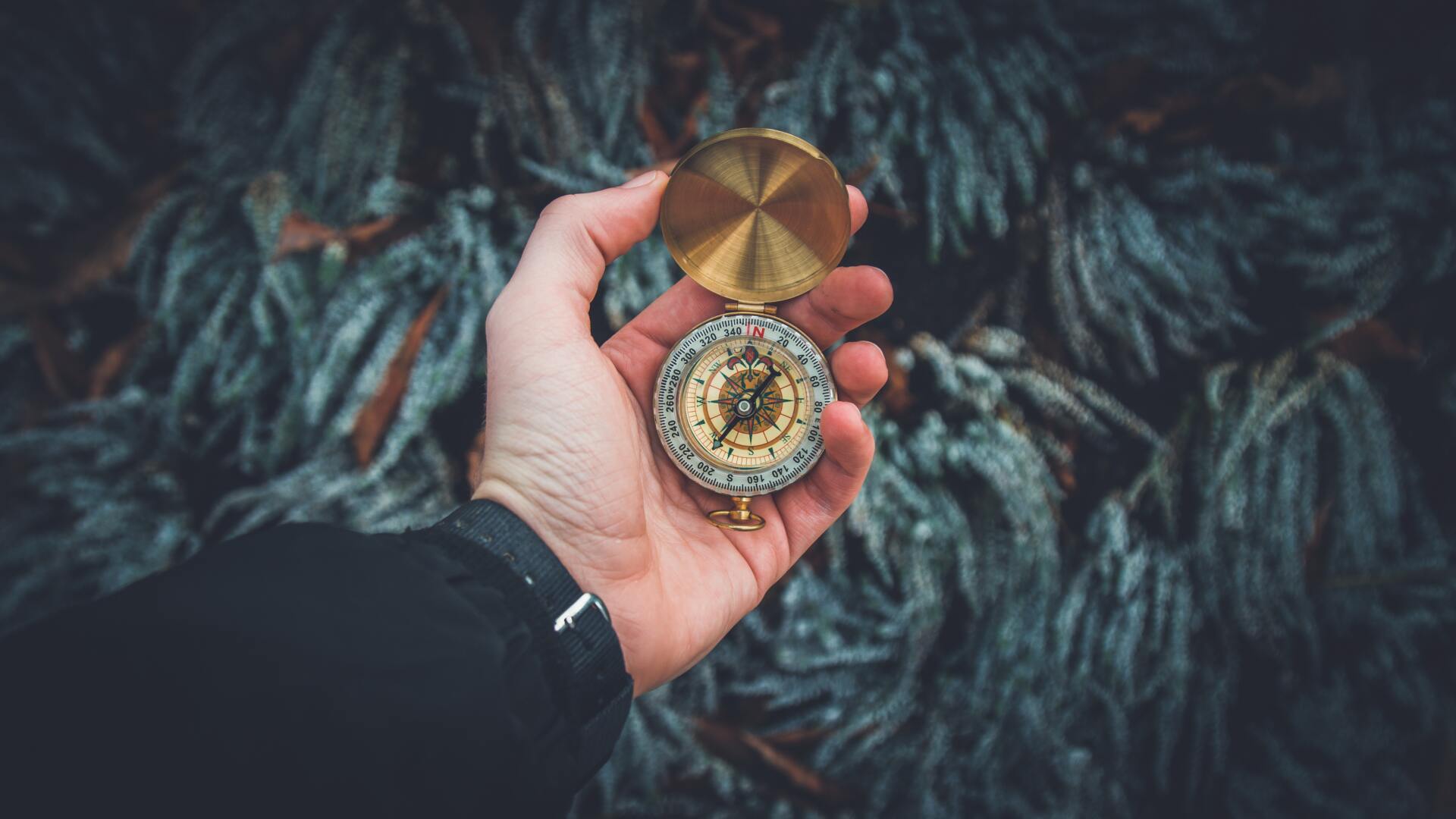 navigating skillfully with mindfulness