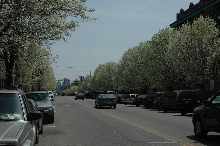 Photo of a city street, lined with trees