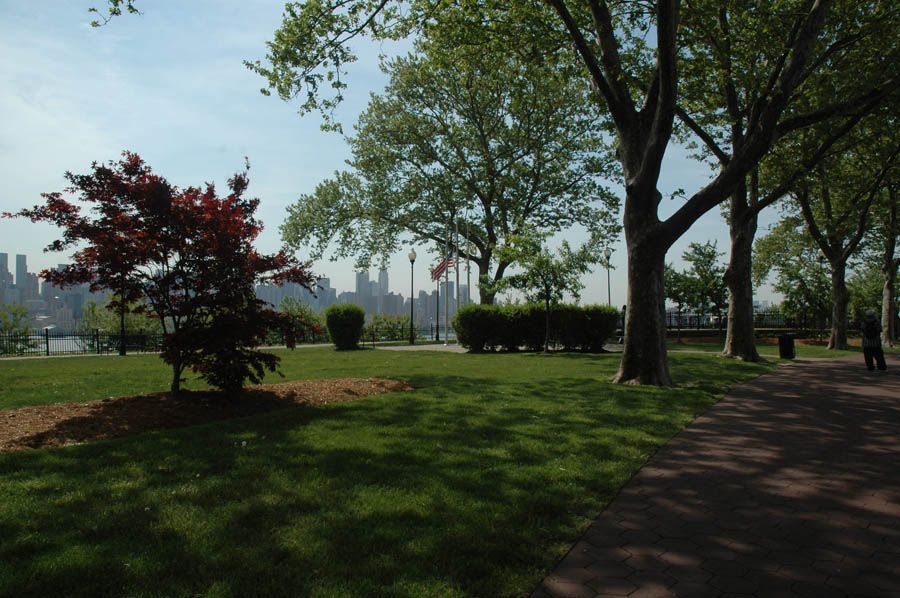 Photo of a park showing a skyline in the background