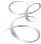 E Icon Logo - About section