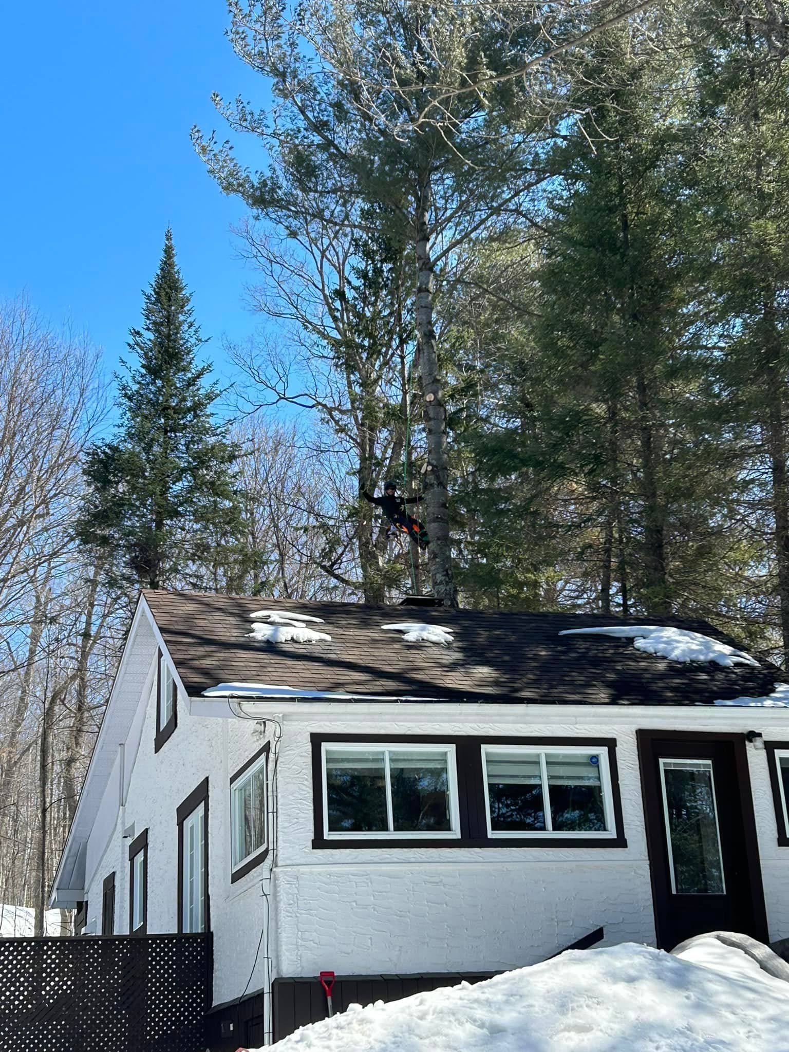 White house with black trim, surrounded by trees and snow on the ground, blue sky.
