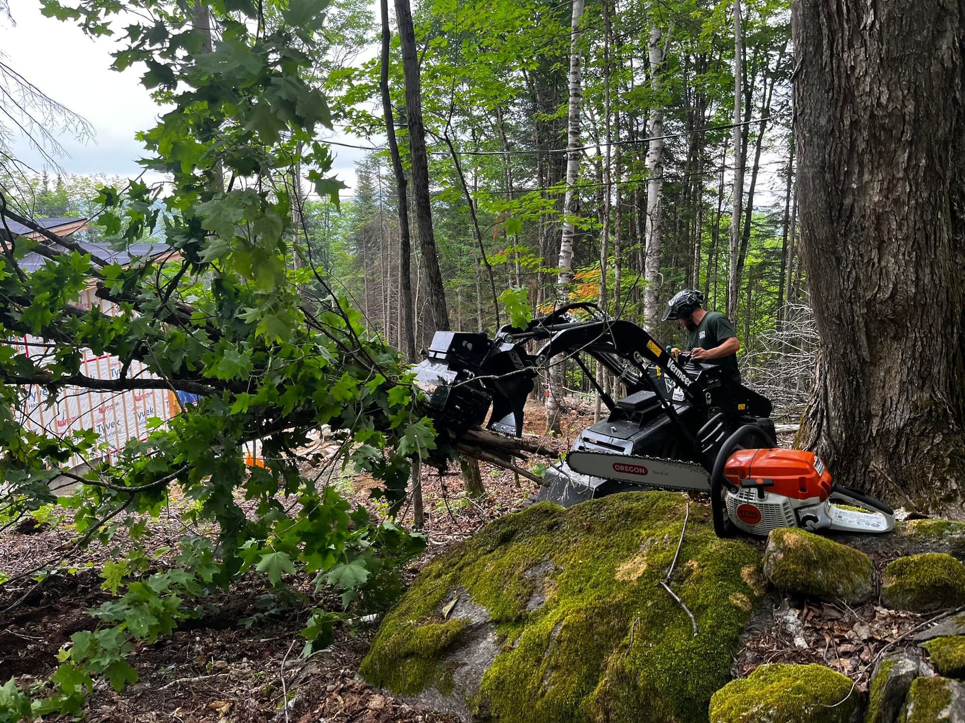 Person operating a stump grinder, cutting tree branches. Forest setting with mossy rock.