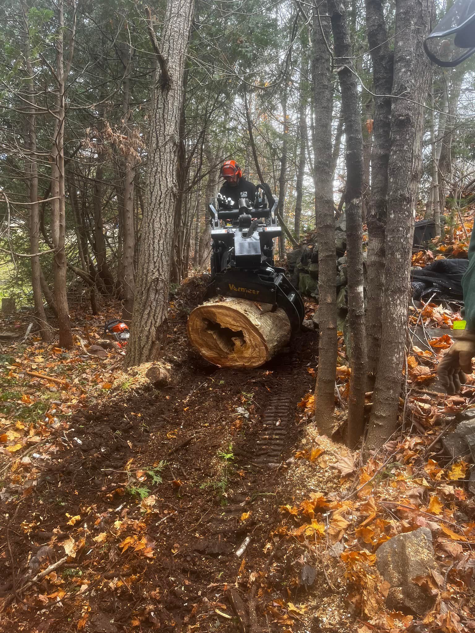 Person operating machinery, moving a large log through a wooded area.